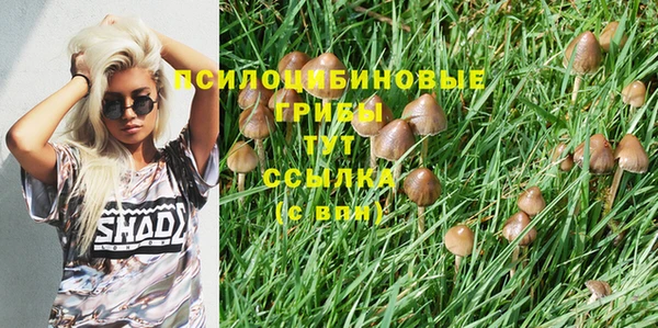 мяу мяу мука Новозыбков