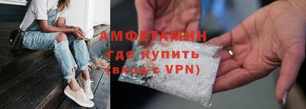шишки Новодвинск