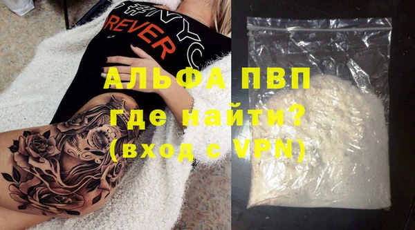 шишки Новодвинск