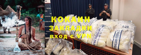 шишки Новодвинск