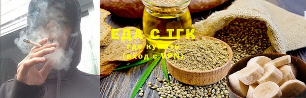 шишки Новодвинск