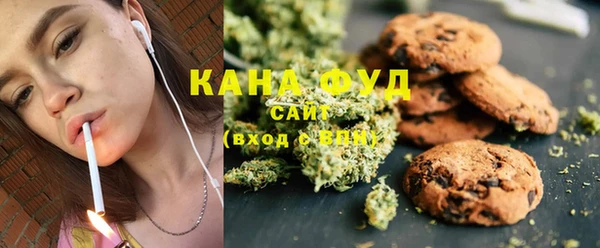 шишки Новодвинск
