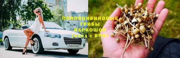 шишки Новодвинск