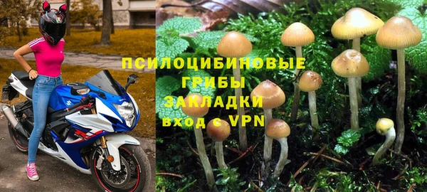 таблы Новокубанск