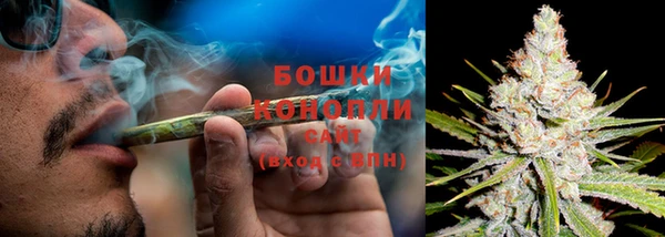 мяу мяу мука Новозыбков