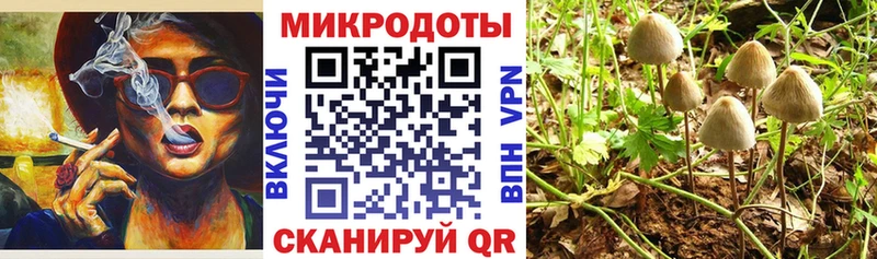 Галлюциногенные грибы Magic Shrooms Нелидово