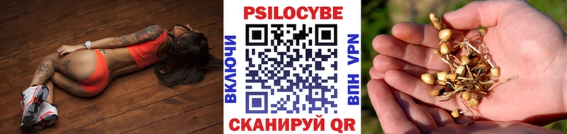 даркнет клад  Нелидово  Псилоцибиновые грибы мицелий 